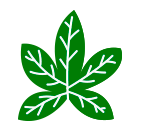 Green leaf symbol on a black background