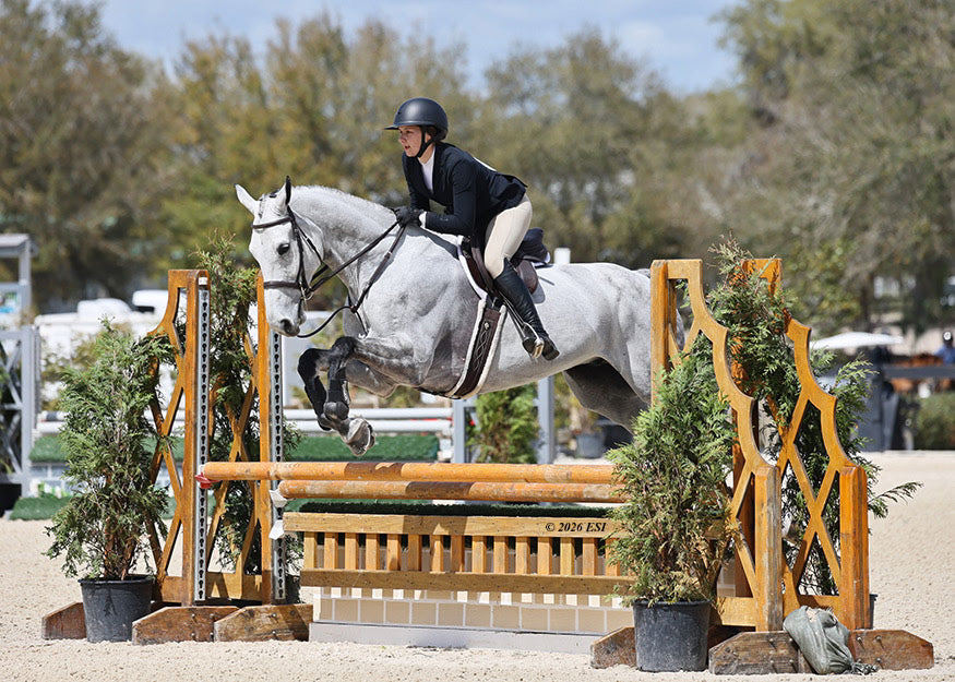 Image of a woman on a white horse jumping