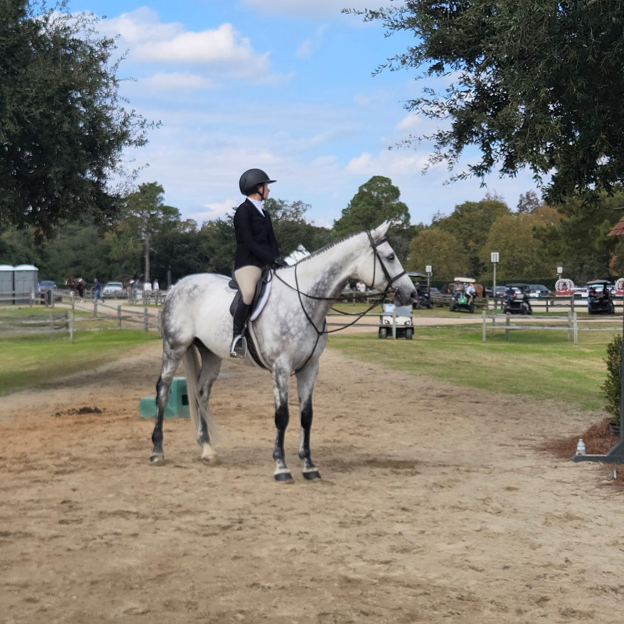 Person riding a gray horse in an outdoor equestrian setting with trees and vehicles in the background.