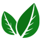 Green leaf icon on a white background