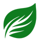 Green leaf logo on a white background