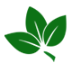 Green leaf icon on a white background