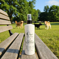 Purely Equines All-Natural Flea, Tick & Fly Spray - Purely Equines-Purely Equines