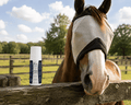 Purely Equines All-Natural Fly Roll-On - Purely Equines-Purely Equines