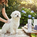Purely Equines Soothing Oatmeal Shampoo for Dogs - Purely Equines-Purely Equines
